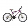 Bicicleta BENOTTO Montaña BLACKCOMB R24 21V. Hombre DS Frenos Doble Disco Mecanico Acero Uva/Oro Palido Talla:UN